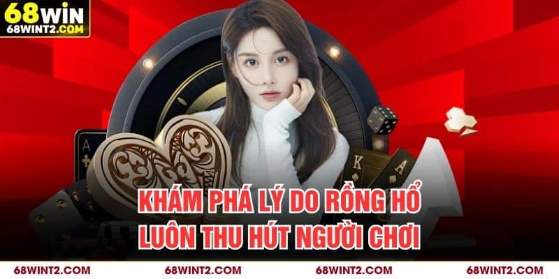Khám phá lý do rồng hổ luôn thu hút người chơi